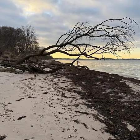 Lejlighed An Der Ostsee Naehe Priwall Dassow