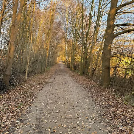 An Der Ostsee Naehe Priwall Daire *