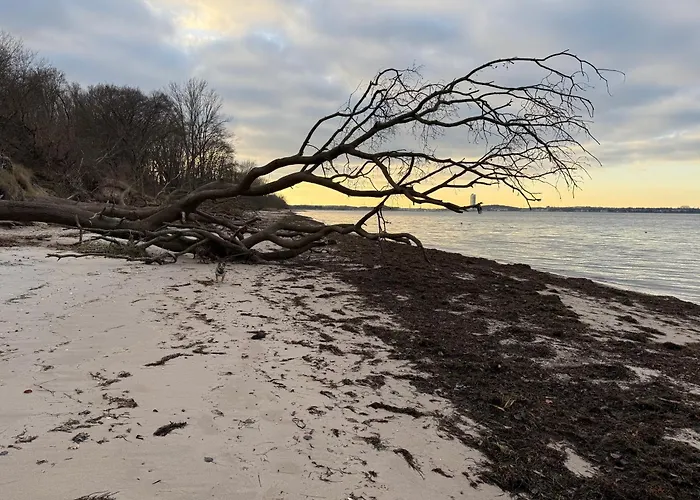 شقة An Der Ostsee Naehe Priwall Dassow