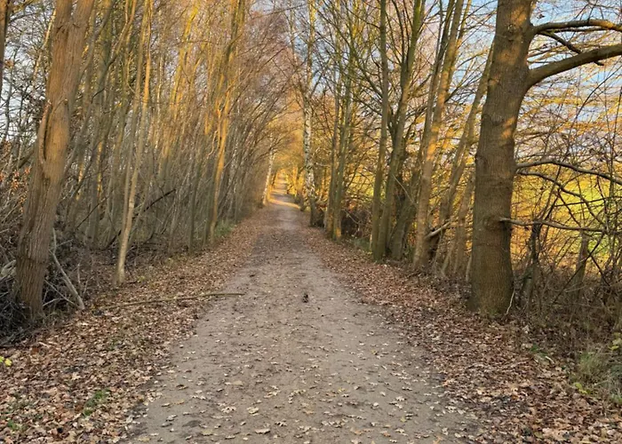 An Der Ostsee Naehe Priwall Lejlighed *